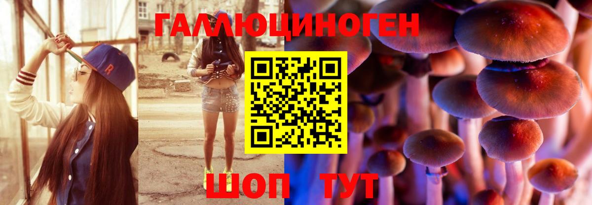 Псилоцибиновые грибы Psilocybe  Вход с VPN  Нижнеудинск  Галлюциногенные грибы MAGIC MUSHROOMS 
